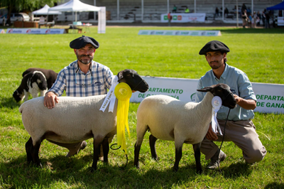 96e8d741 526a 44c1 afd2 e0be42b75a51