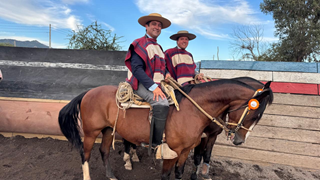 e271469b 2924 438b 81fa 96a08cff7ad2